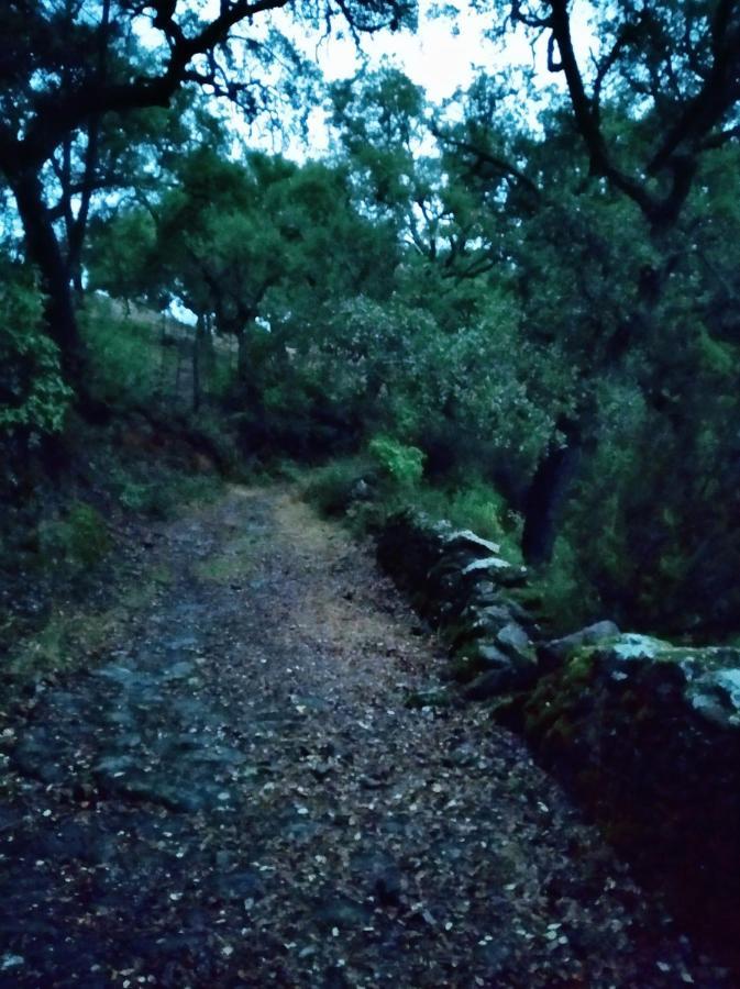 La Afortunaa Valdelarco Dış mekan fotoğraf